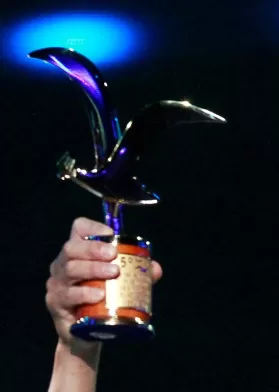 Festival De Viña (1)