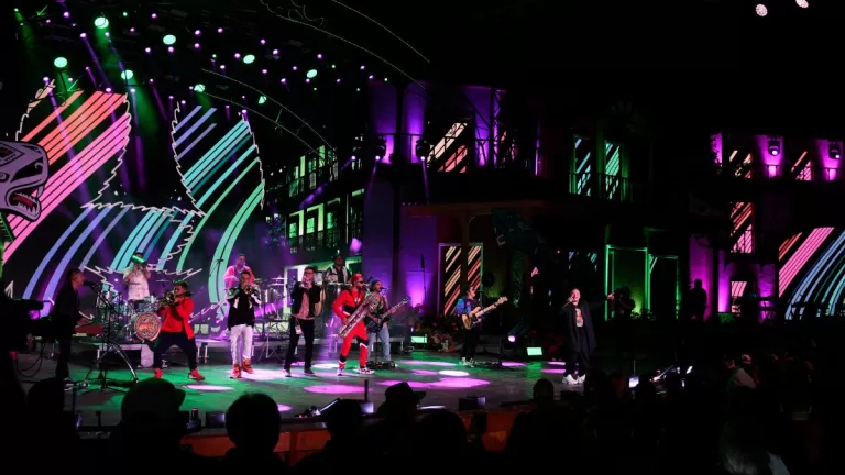 Festival Del Huaso De Olmué