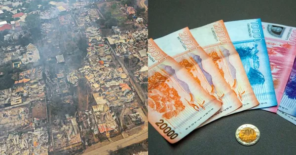 Tras incendios forestales: así puedes solicitar el reembolso de dinero dañado de forma gratuita