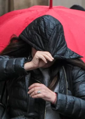 Lluvia En La Región Metropolitana (13)