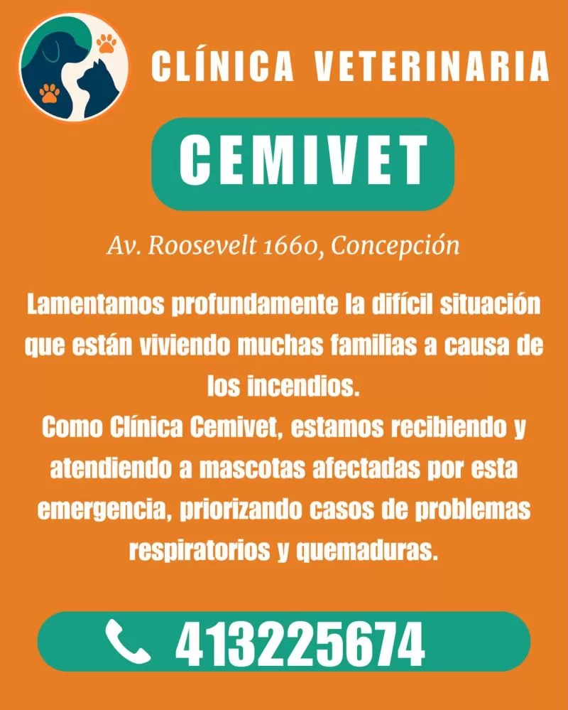 Cemivet.cl_618911738_17945055396096169_5871126141530564740_n (1)