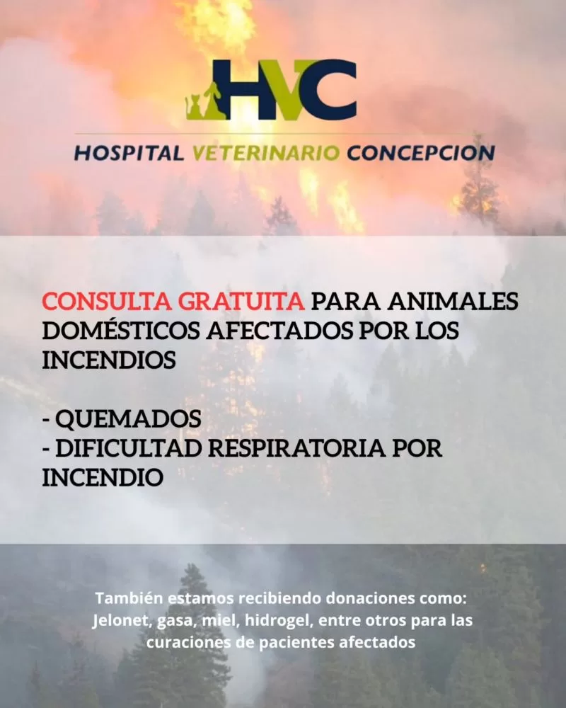 Hvc.concepcion_619164863_18251908315295659_4331231168761932564_n