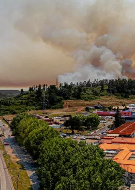 Incendios Forestales Mascotas