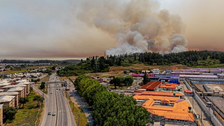 Incendios Forestales Mascotas
