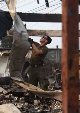 Indendios Forestales