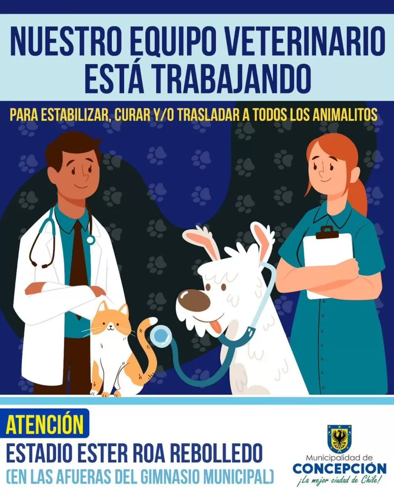 Muni_conce_617683371_1292820942883550_2602574786294838038_n (1)