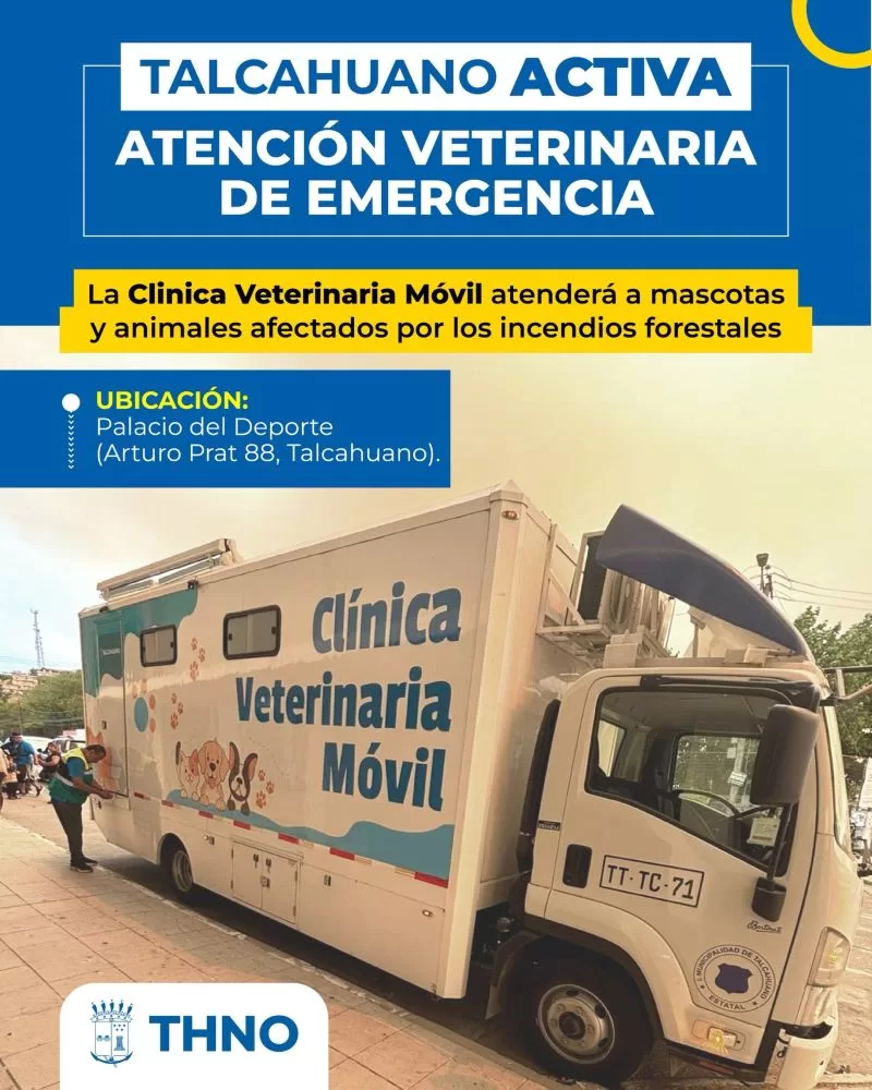 Municipalidad De Talcahuano