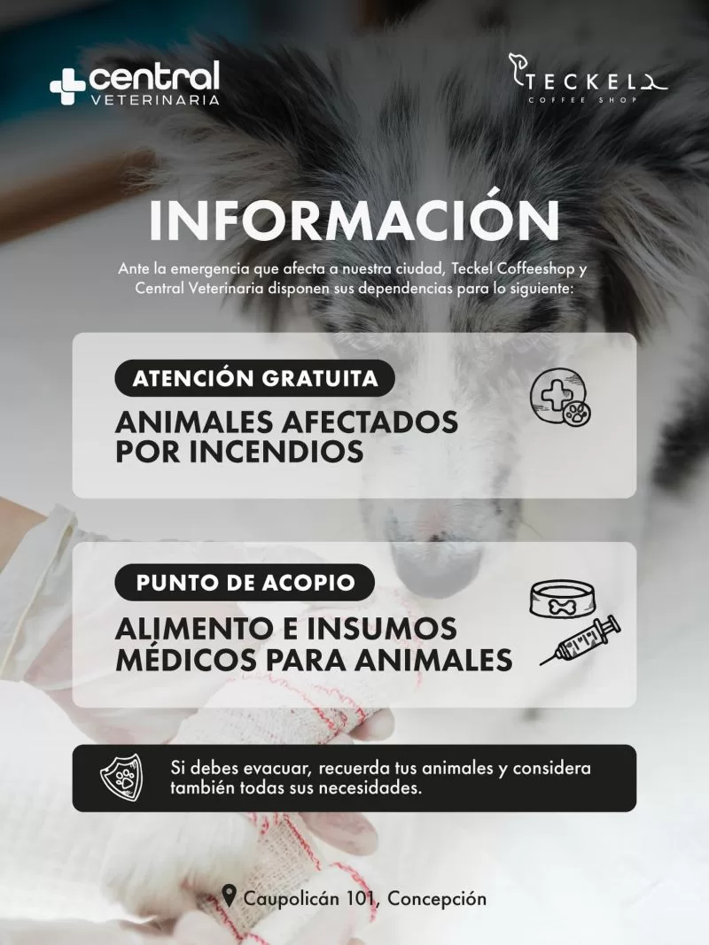 Teckelcoffeeshop_618919648_17965288008007659_7581136231102859232_n (1)