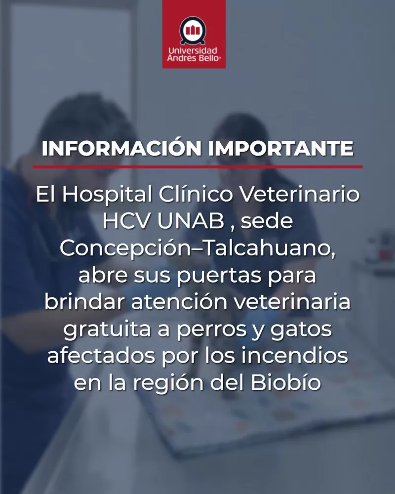 Uandresbello_618941102_18548854291023355_2161617306356086544_n (1)