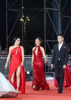 Gala Festival De Viña