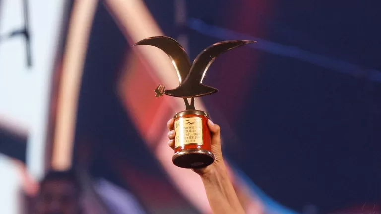 Festival De Viña (7)