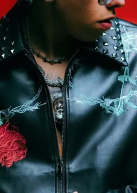 Cantante Chileno Detenido