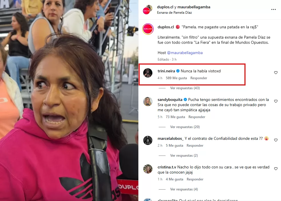 Comentario de Trini Neira en @duplos.cl