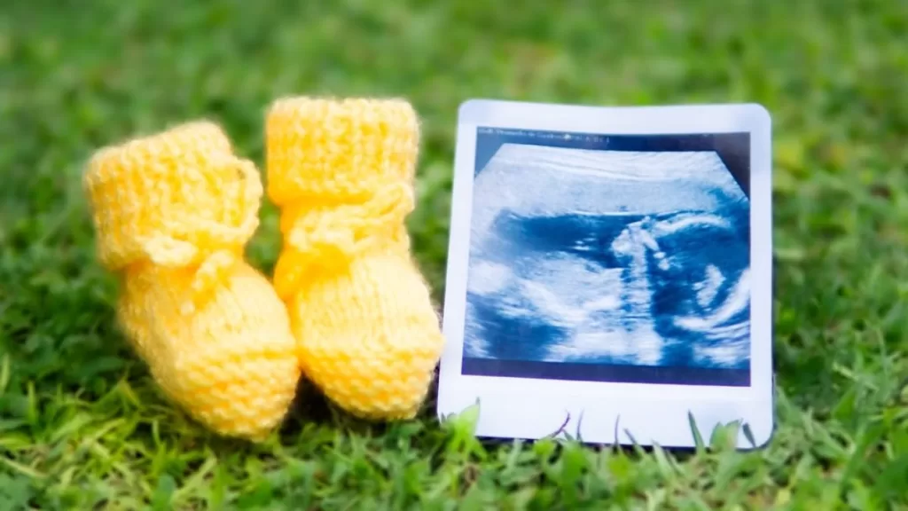 Christell Rodríguez (1)