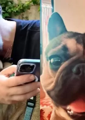 La Nueva Integrante De José Antonio Neme