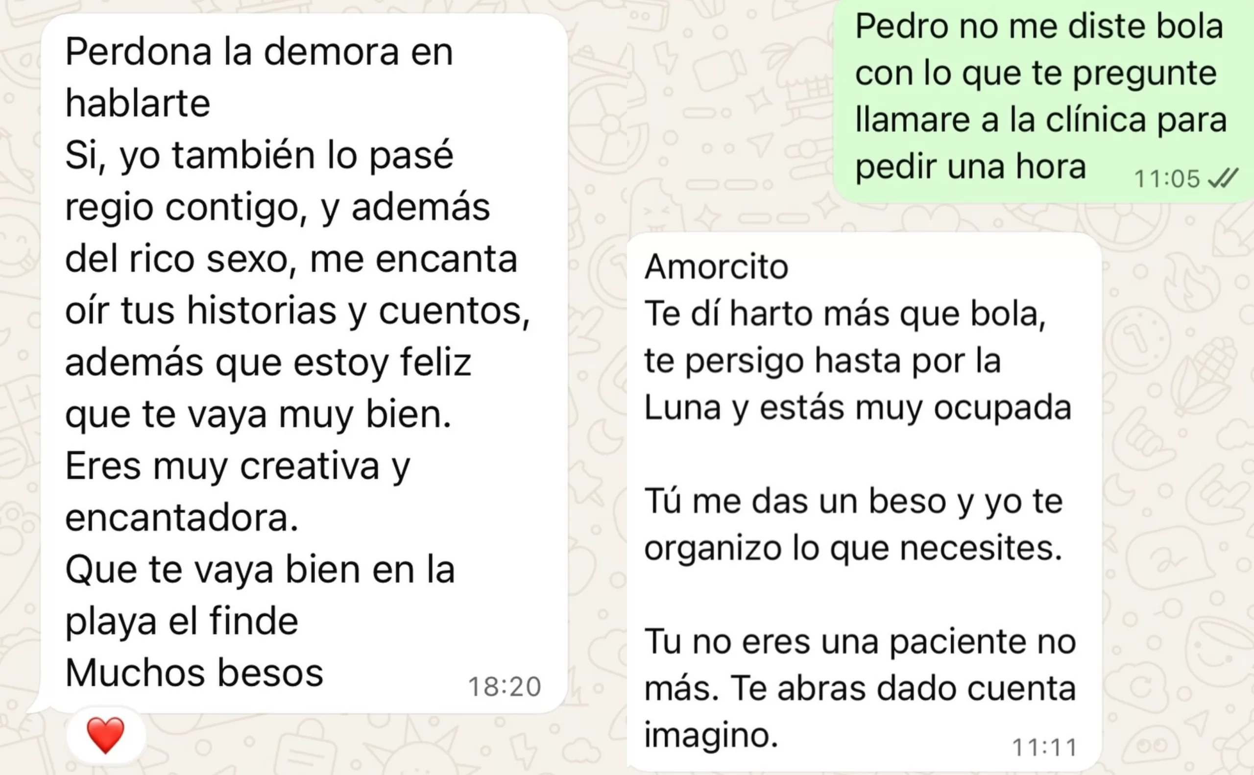 Pantallazos Del Chat Entre Nicole Block Y Pedro Vidal