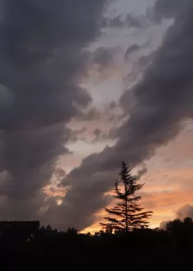 Así Estará El Clima En Semana Santa