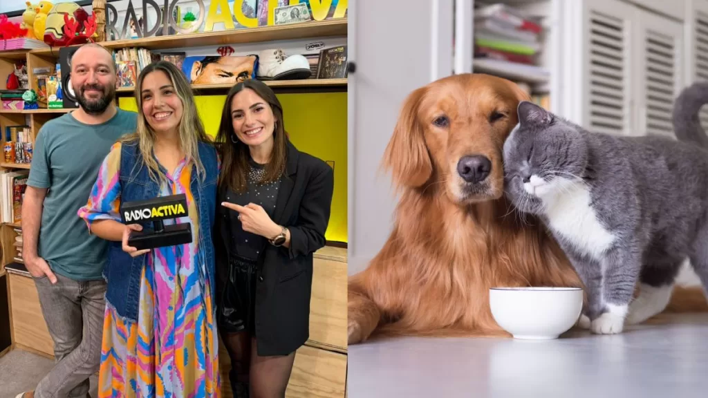 El Mejor Alimento Para Tu Mascota