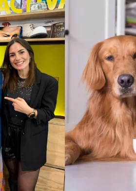 El Mejor Alimento Para Tu Mascota