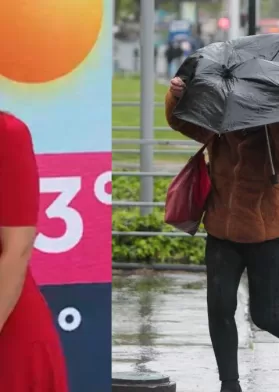 Lluvia En La Región Metropolitana (59)