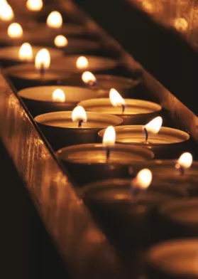 Luto En El Mundo Del Cine