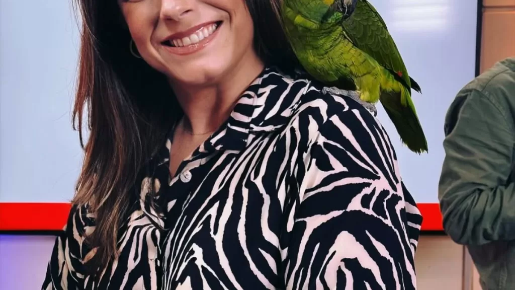 Querida Animadora Vuelve A Canal 13