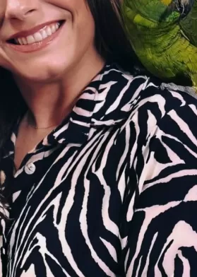 Querida Animadora Vuelve A Canal 13