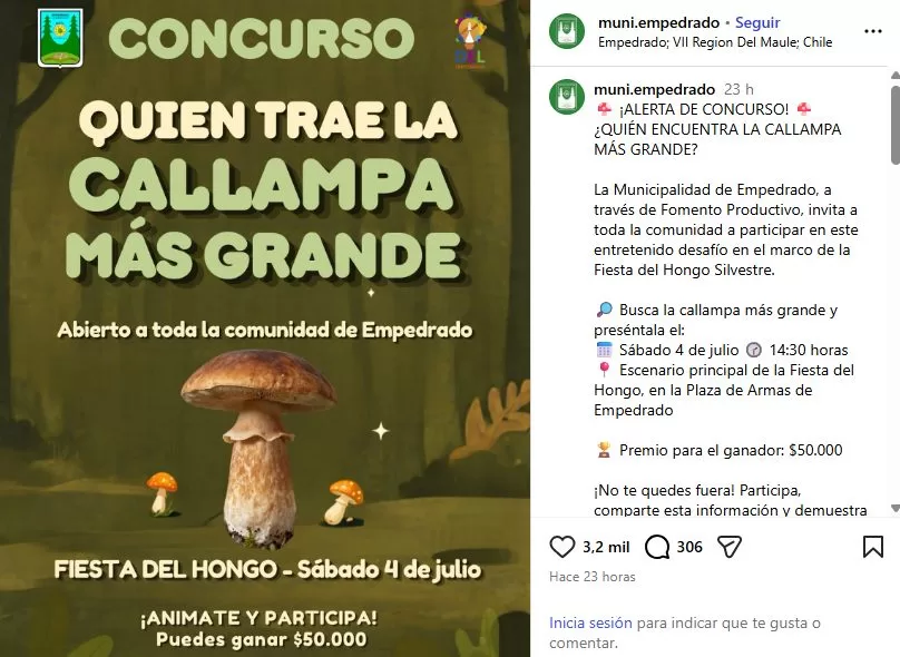 Municipalidad De Empedrado