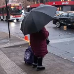 Lluvia En Santiago (1)