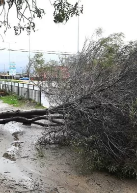 Temporal