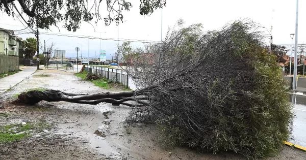 Lanzan Red Esperanza: el sitio web gratuito que permite reportar emergencias y coordinar ayuda durante el temporal en Chile