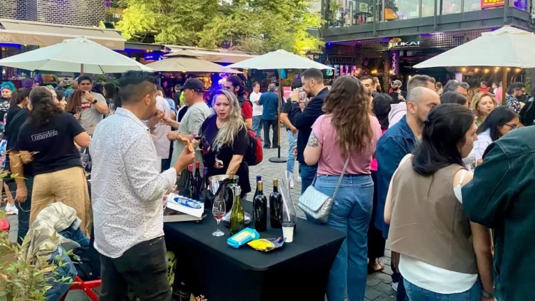 Feria De Vino