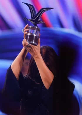 Festival De Viña 2027